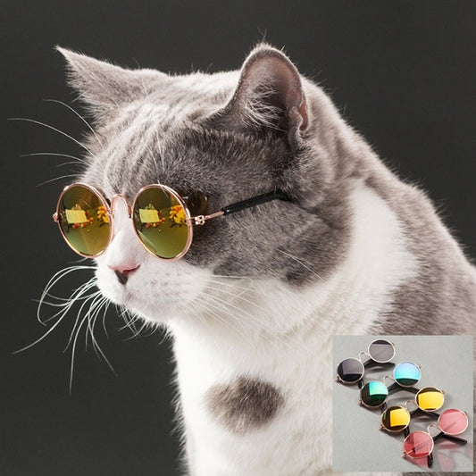 Pet Cat Dog Glasses