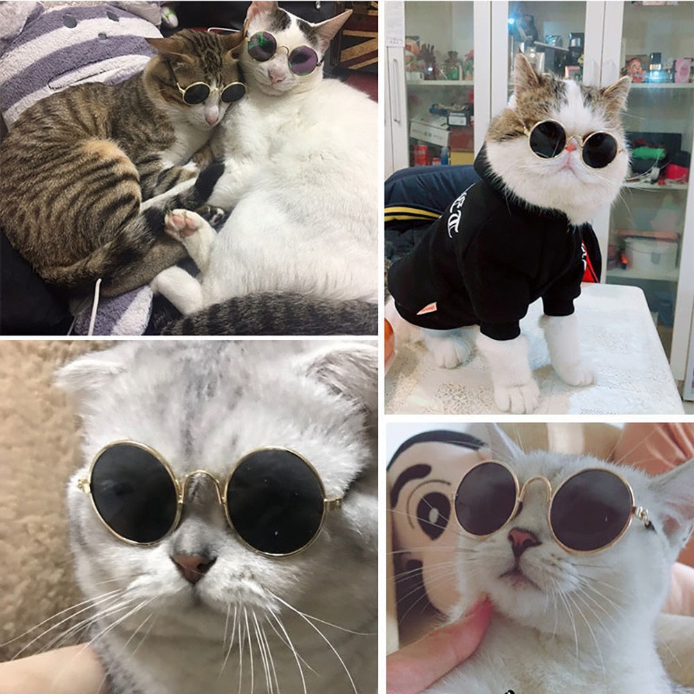 Pet Cat Dog Glasses